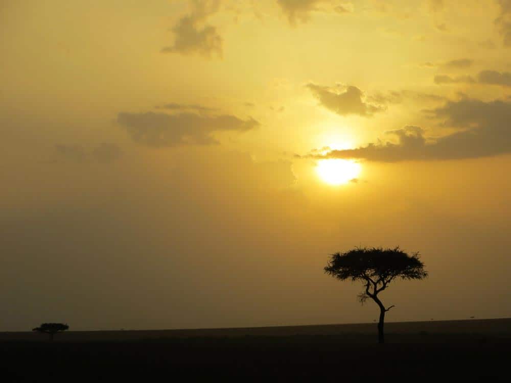 42--Kenya Sunset
