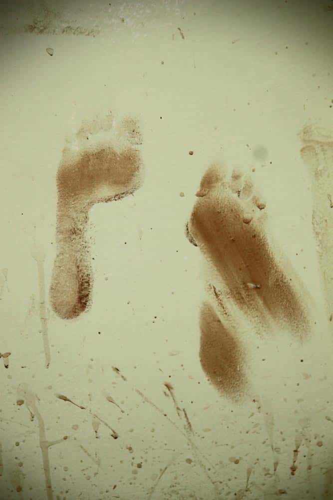 91--Footprints